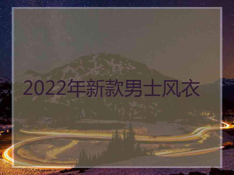 2022年新款男士风衣