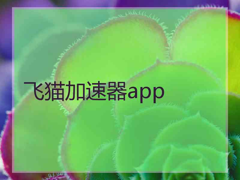 飞猫加速器app