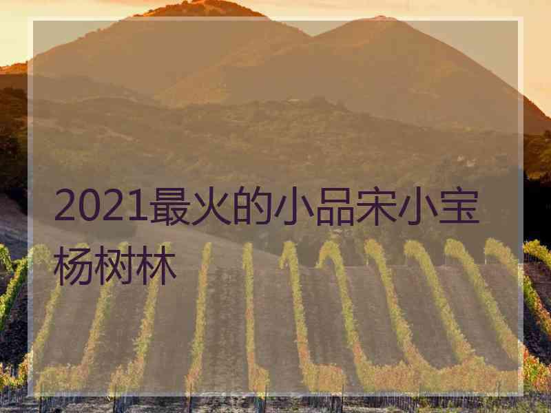 2021最火的小品宋小宝杨树林