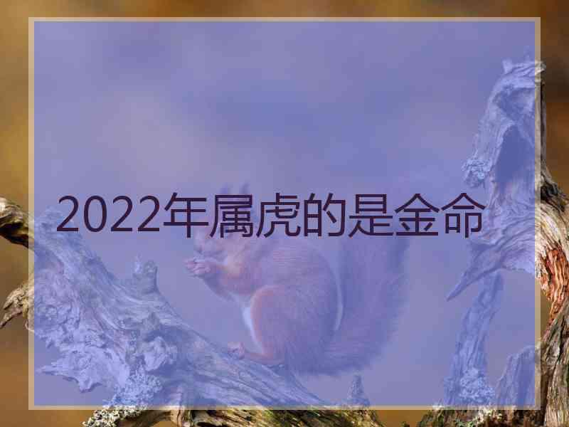 2022年属虎的是金命