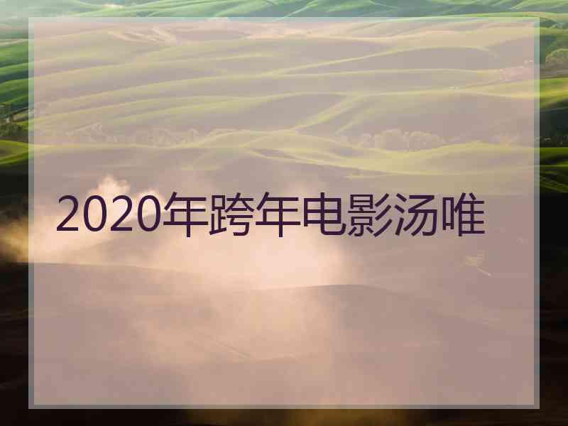 2020年跨年电影汤唯