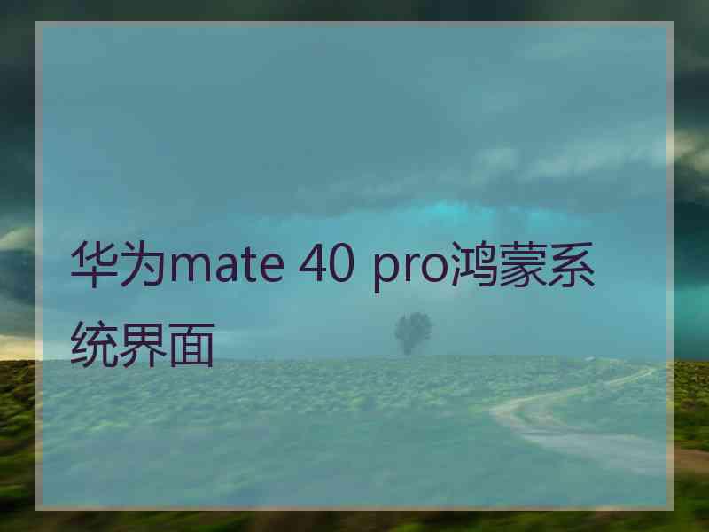 华为mate 40 pro鸿蒙系统界面