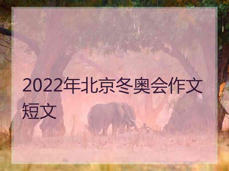 2022年北京冬奥会作文短文