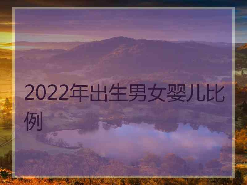 2022年出生男女婴儿比例