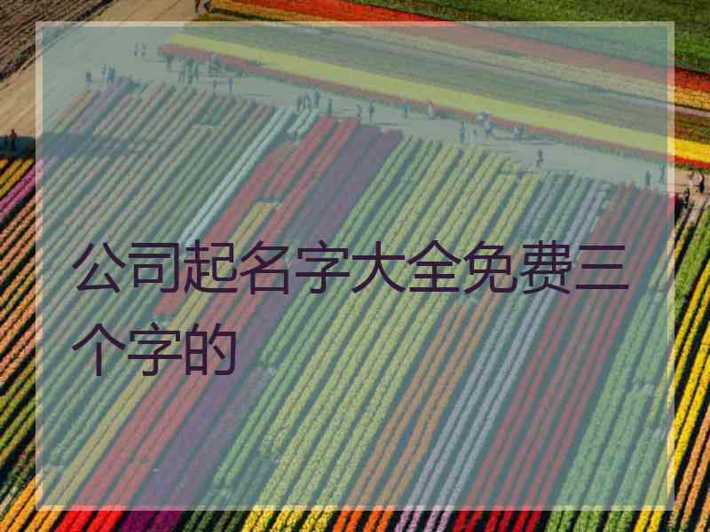 公司起名字大全免费三个字的