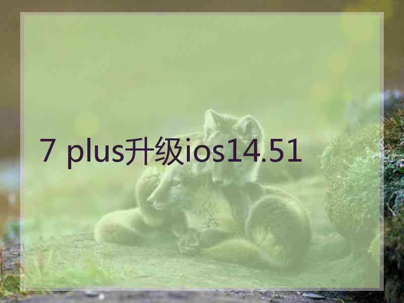 7 plus升级ios14.51