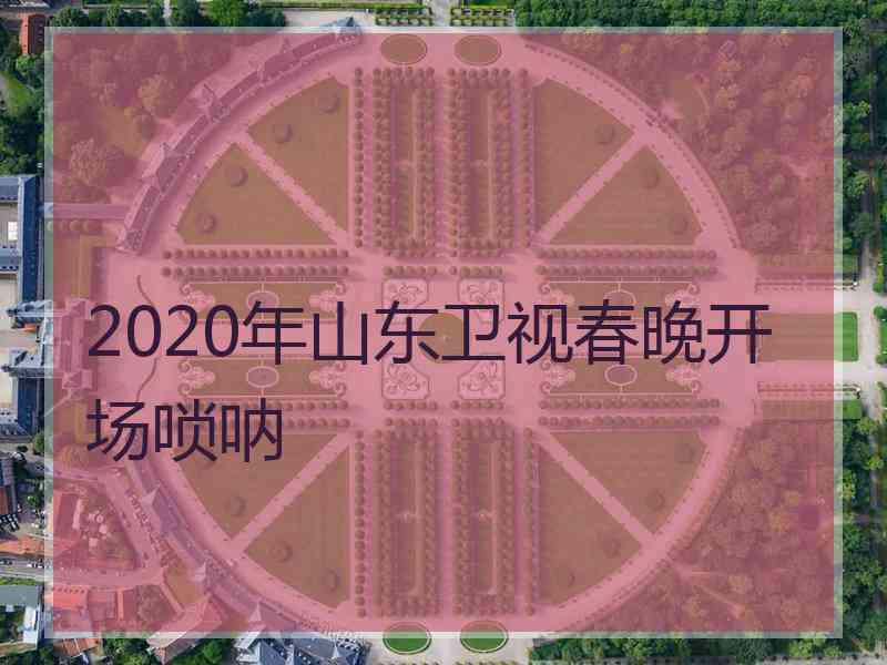 2020年山东卫视春晚开场唢呐