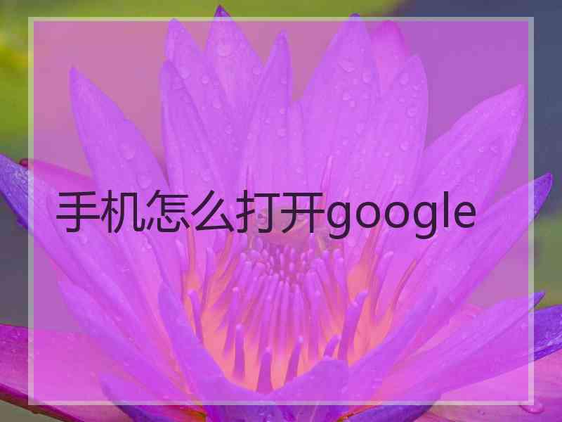 手机怎么打开google