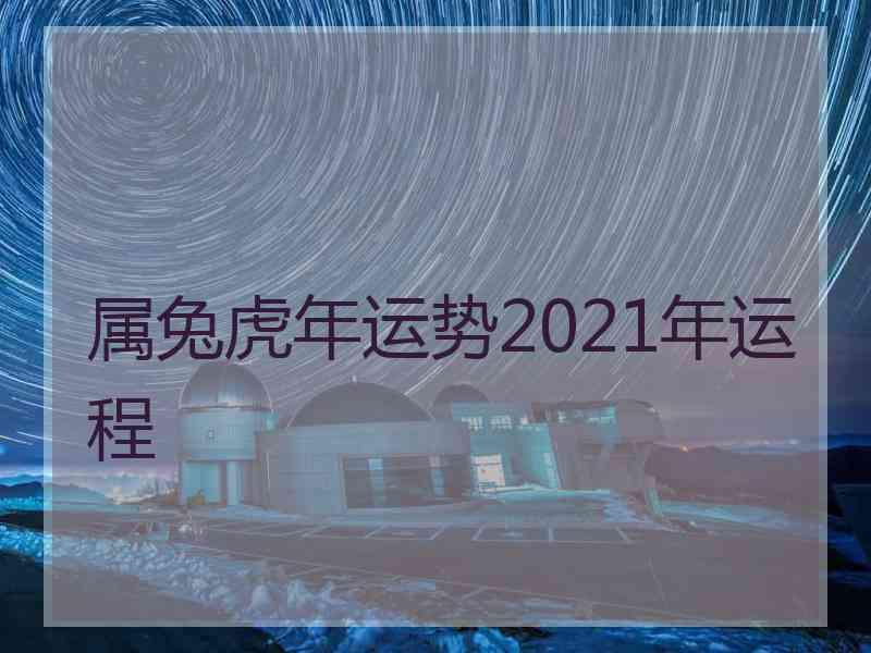 属兔虎年运势2021年运程