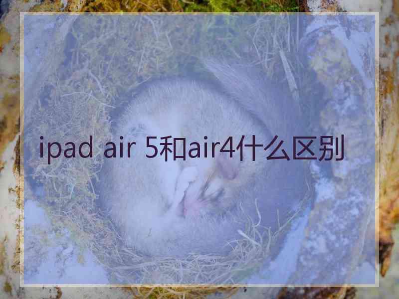 ipad air 5和air4什么区别