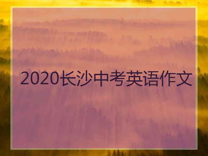 2020长沙中考英语作文