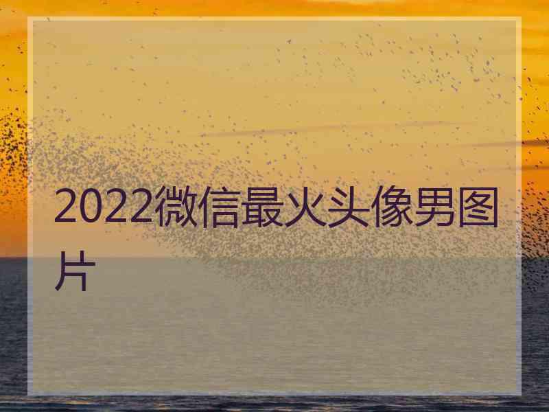 2022微信最火头像男图片