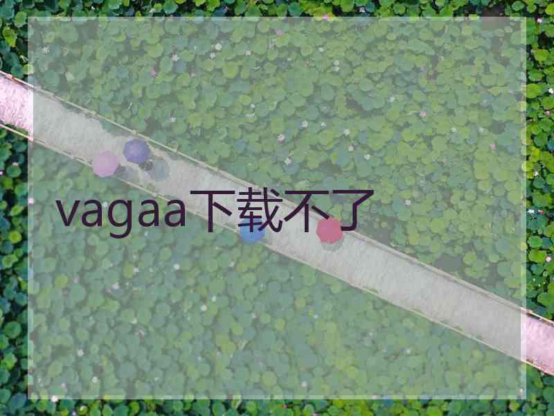 vagaa下载不了