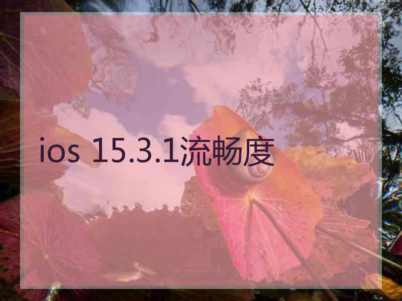 ios 15.3.1流畅度