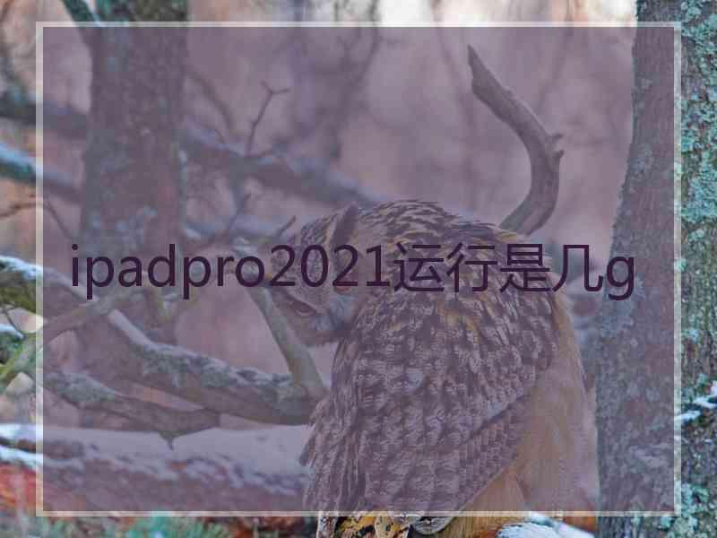 ipadpro2021运行是几g