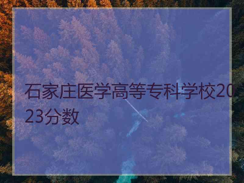 石家庄医学高等专科学校2023分数