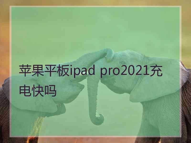 苹果平板ipad pro2021充电快吗