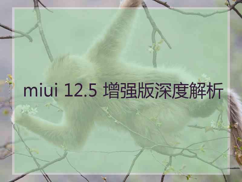 miui 12.5 增强版深度解析