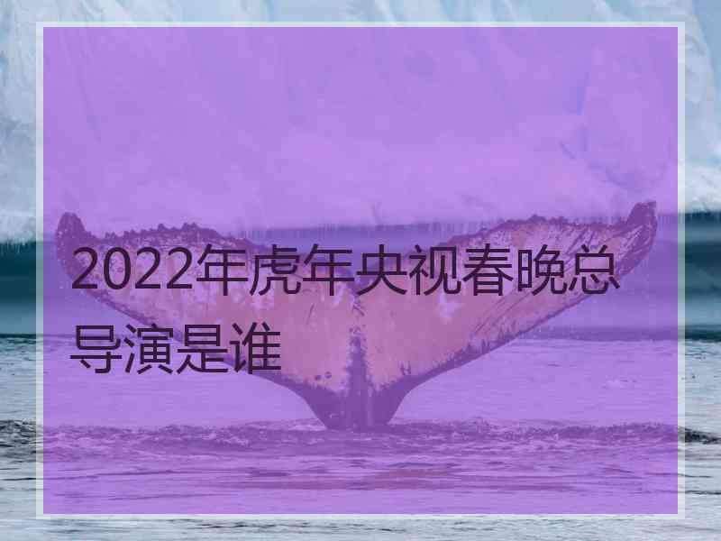 2022年虎年央视春晚总导演是谁