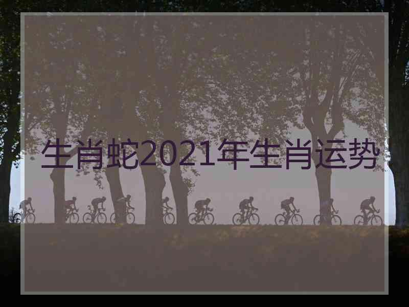 生肖蛇2021年生肖运势