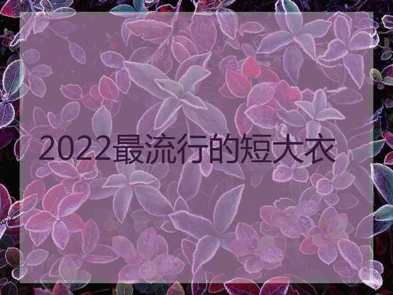 2022最流行的短大衣