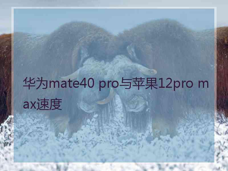 华为mate40 pro与苹果12pro max速度