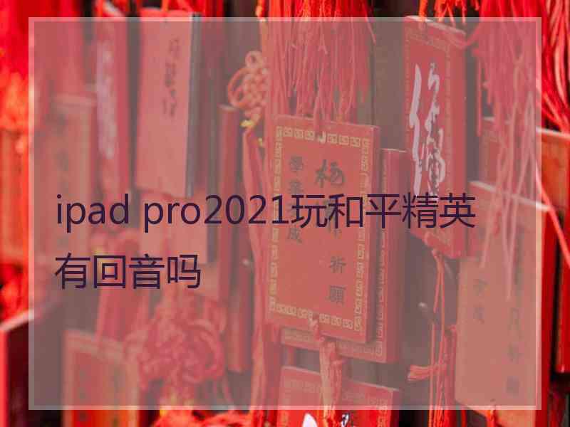 ipad pro2021玩和平精英有回音吗