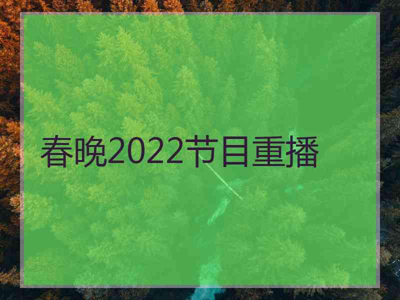 春晚2022节目重播