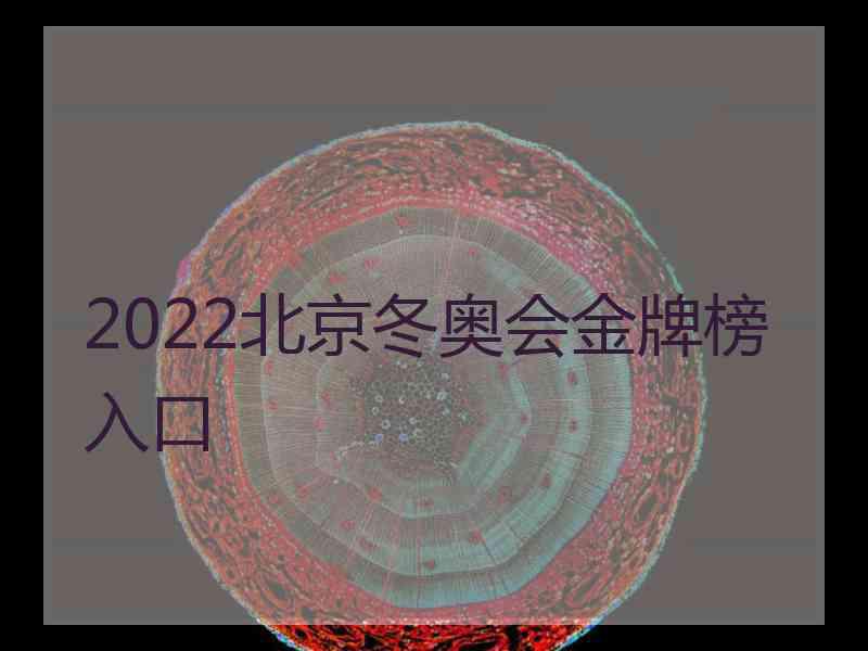 2022北京冬奥会金牌榜入口