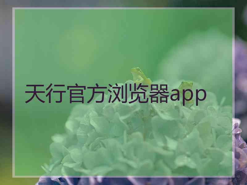 天行官方浏览器app