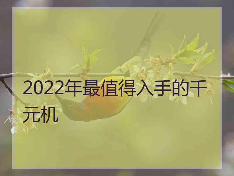 2022年最值得入手的千元机