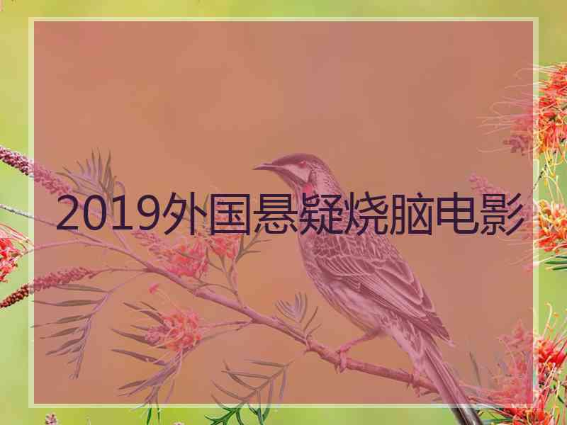 2019外国悬疑烧脑电影