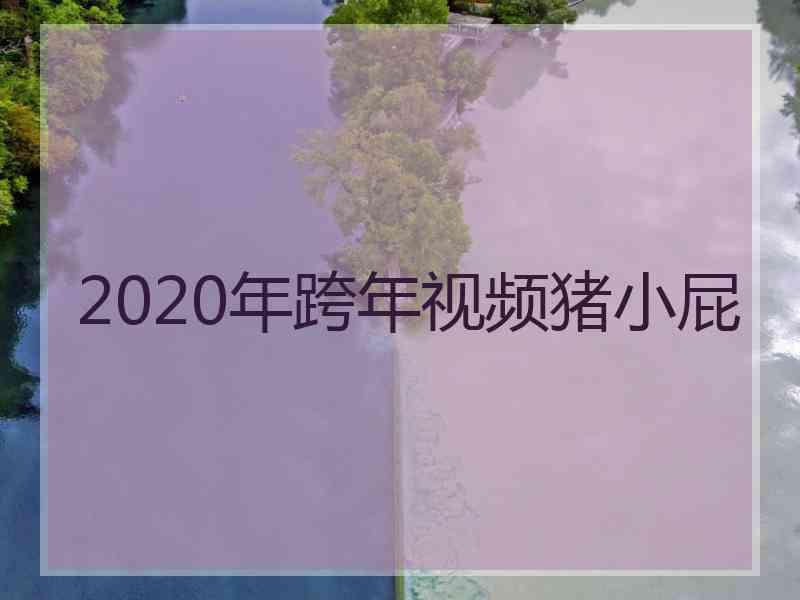 2020年跨年视频猪小屁