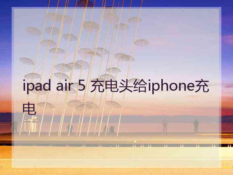 ipad air 5 充电头给iphone充电