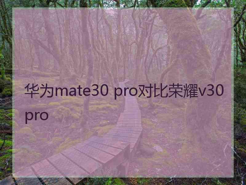 华为mate30 pro对比荣耀v30 pro