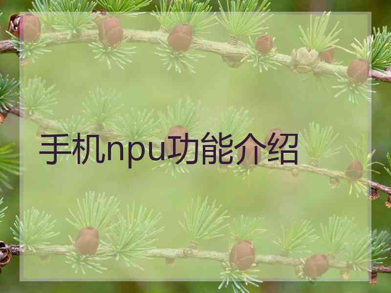 手机npu功能介绍