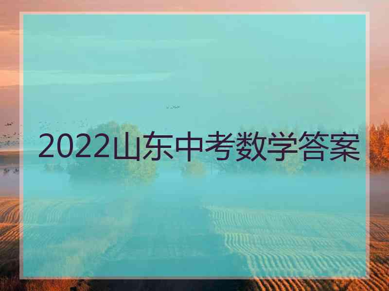 2022山东中考数学答案