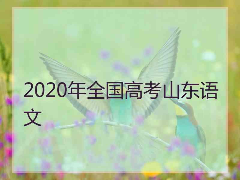 2020年全国高考山东语文