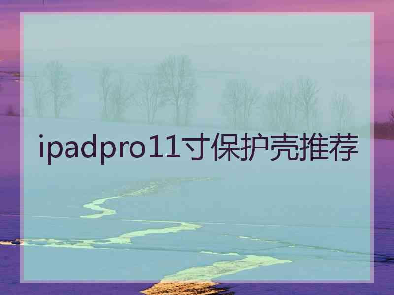 ipadpro11寸保护壳推荐