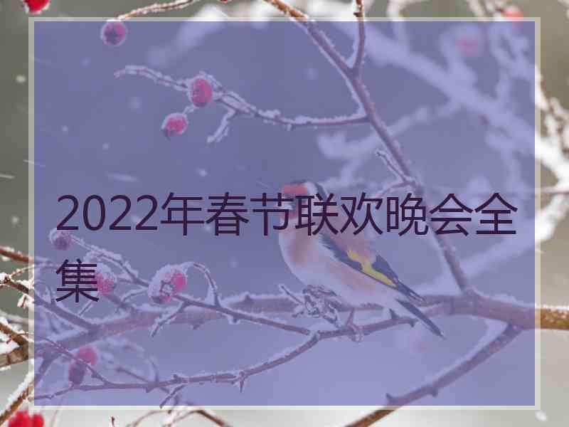 2022年春节联欢晚会全集