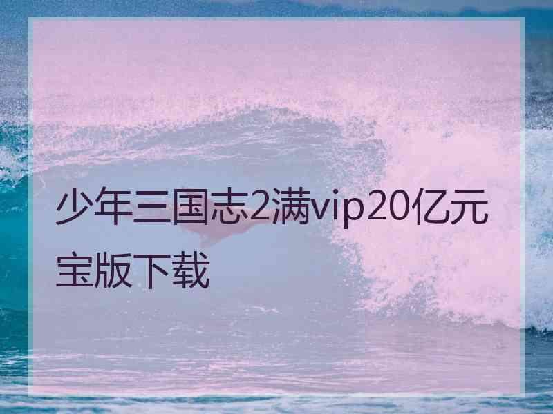 少年三国志2满vip20亿元宝版下载