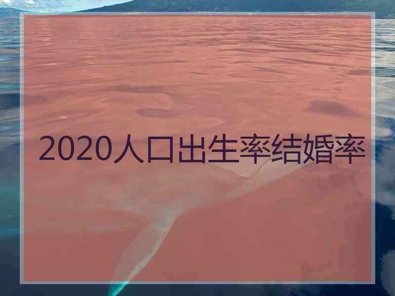 2020人口出生率结婚率