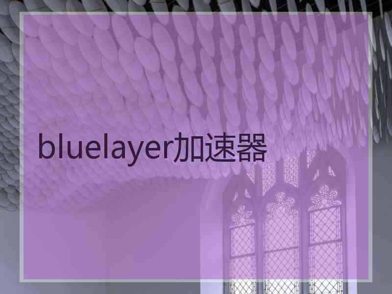 bluelayer加速器