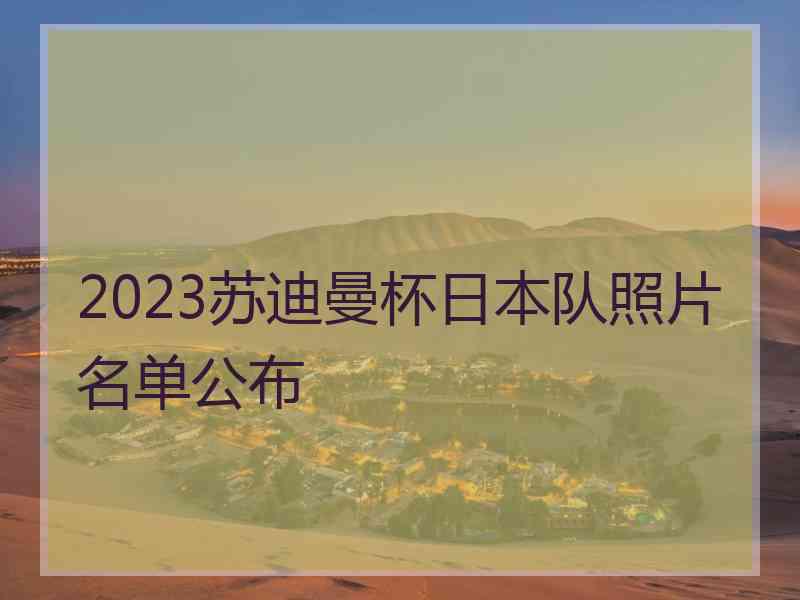 2023苏迪曼杯日本队照片名单公布