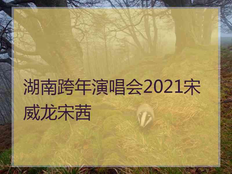 湖南跨年演唱会2021宋威龙宋茜