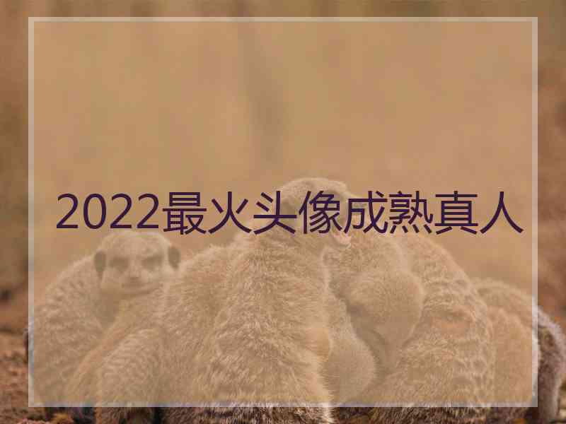 2022最火头像成熟真人