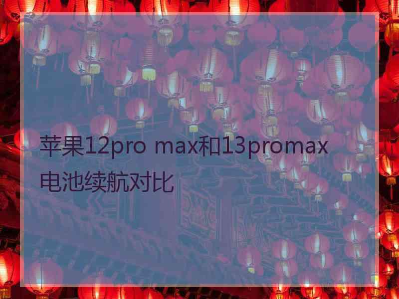 苹果12pro max和13promax电池续航对比