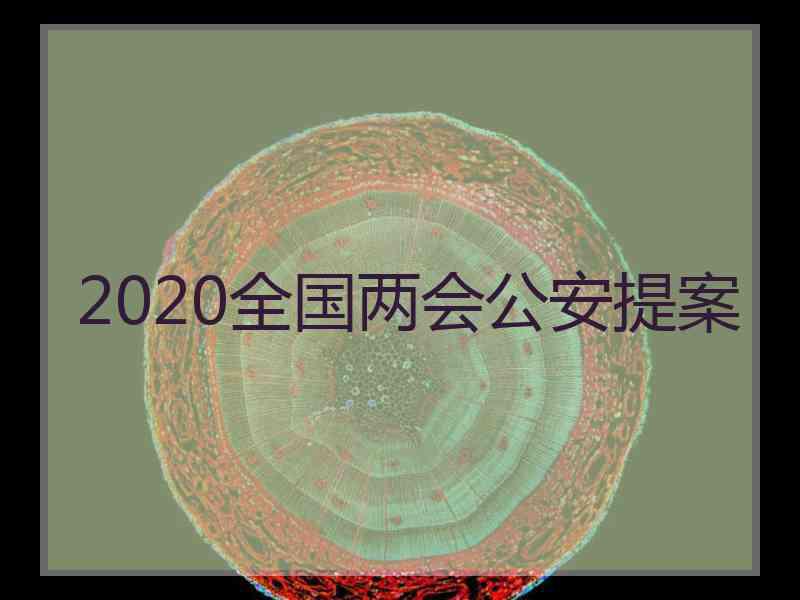 2020全国两会公安提案