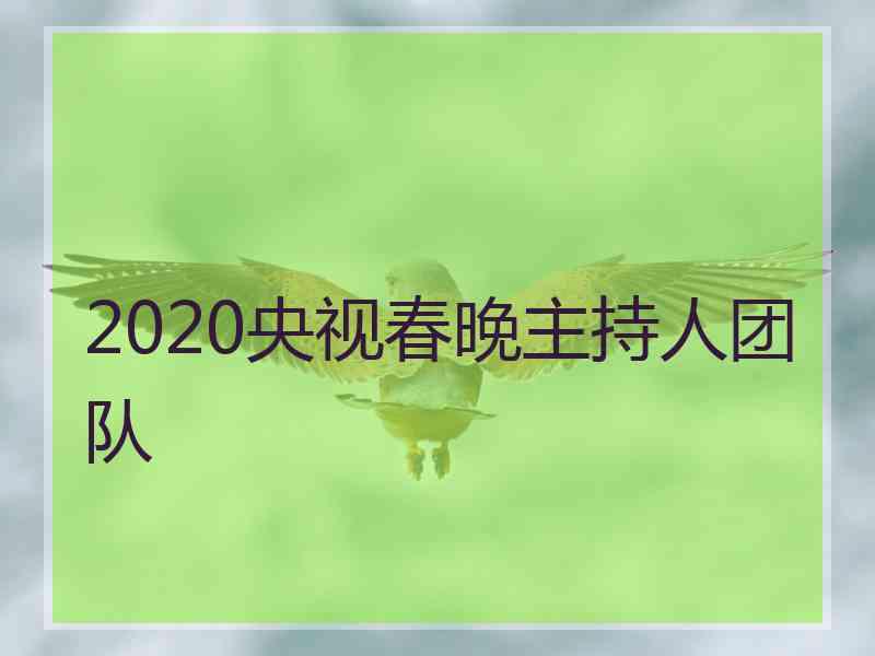 2020央视春晚主持人团队