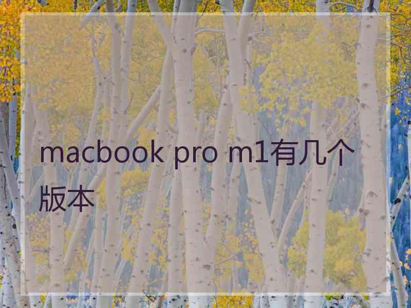 macbook pro m1有几个版本